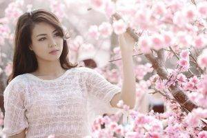 Asian, Brunette, Cherry Blossom