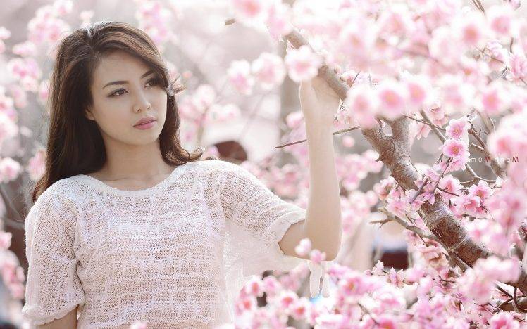 Asian, Brunette, Cherry Blossom HD Wallpaper Desktop Background