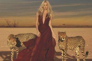 Shakira, Leopard, Singer, Desert