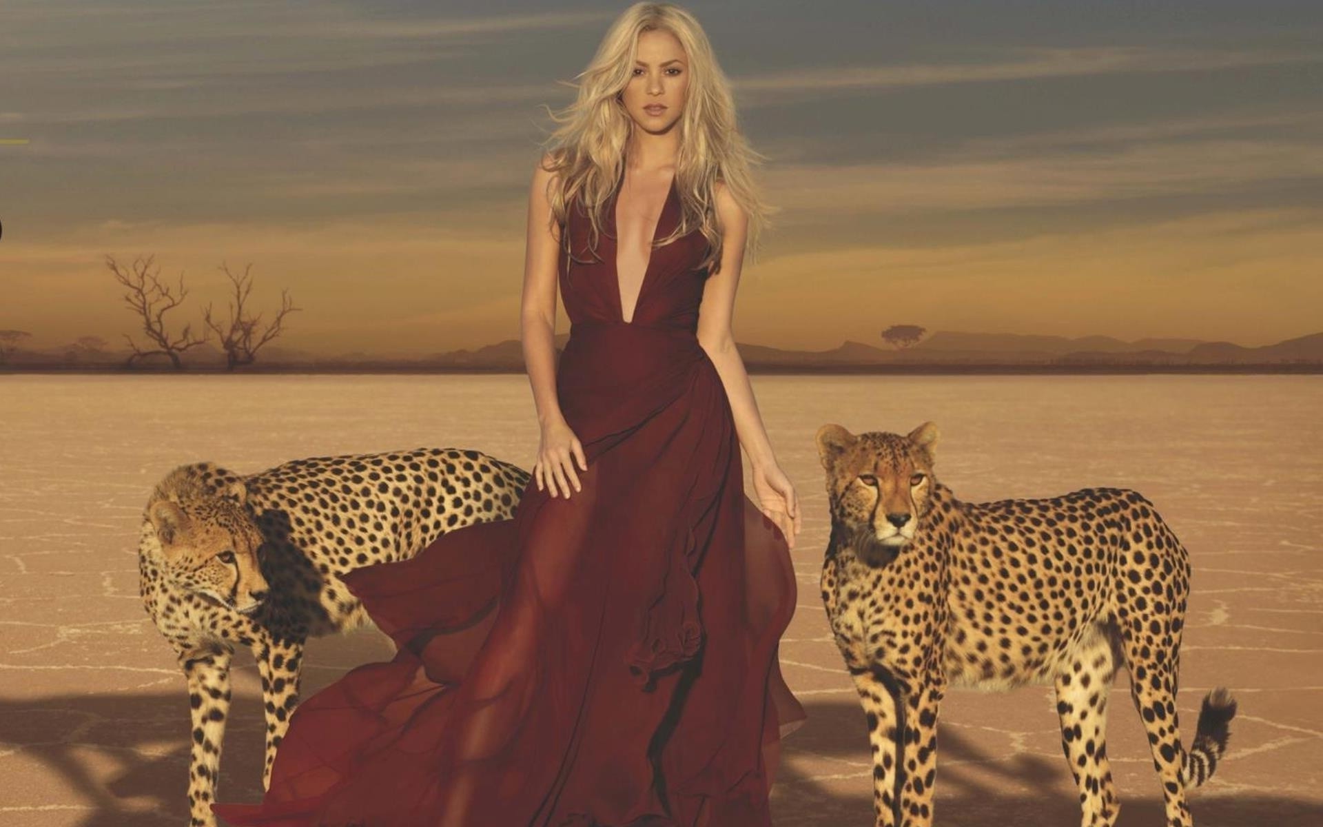Shakira, Leopard, Singer, Desert Wallpaper