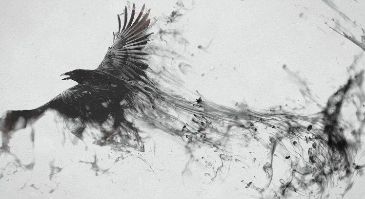 raven birds HD Wallpaper Desktop Background
