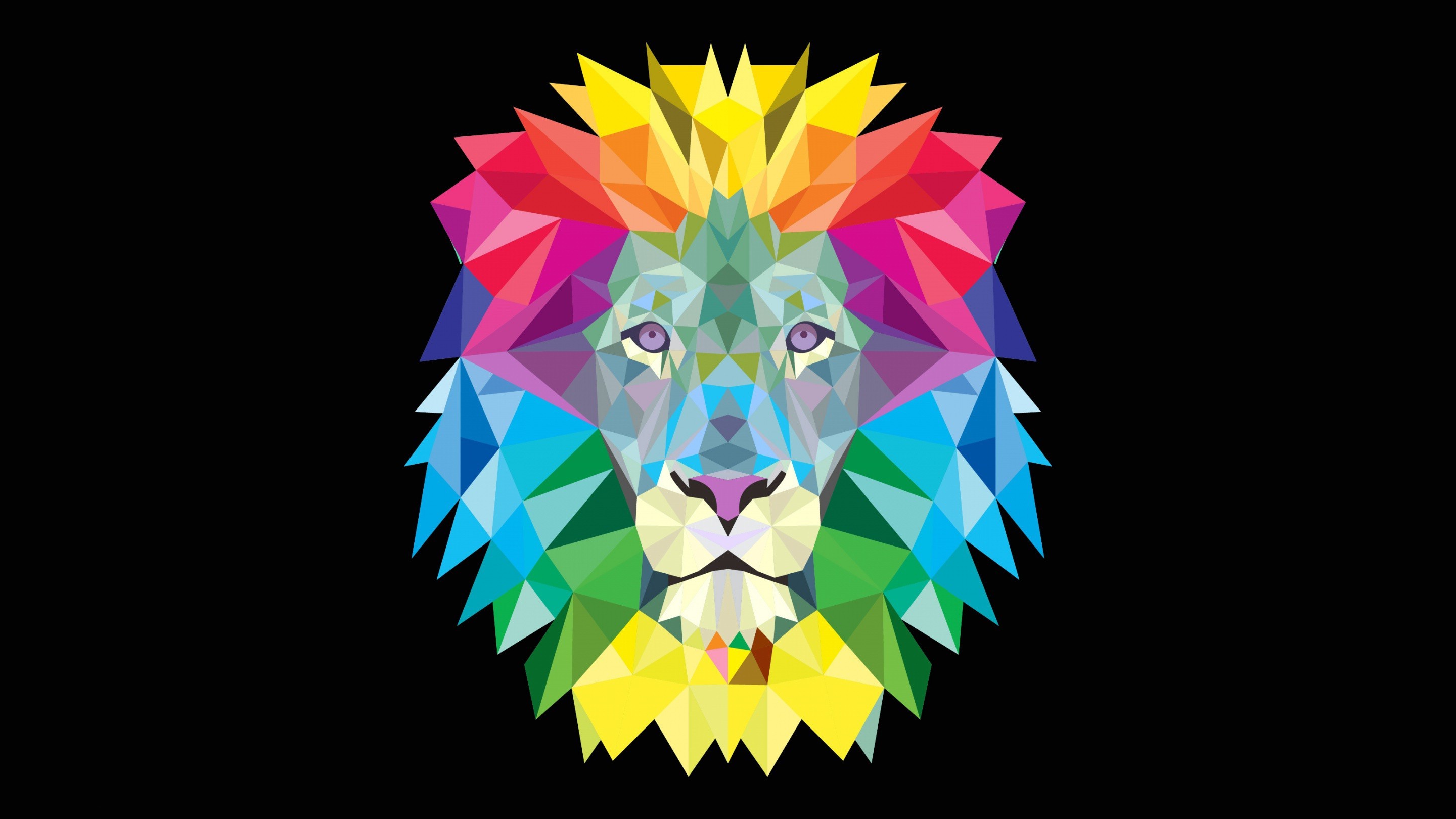 artwork vectors lion colorful Wallpaper