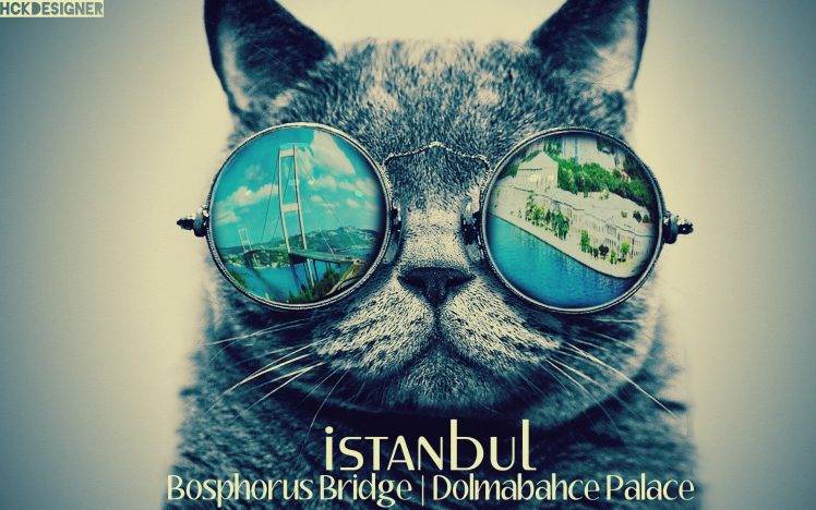 bosphorus konstantinopolis istanbul dolmabahce cat HD Wallpaper Desktop Background
