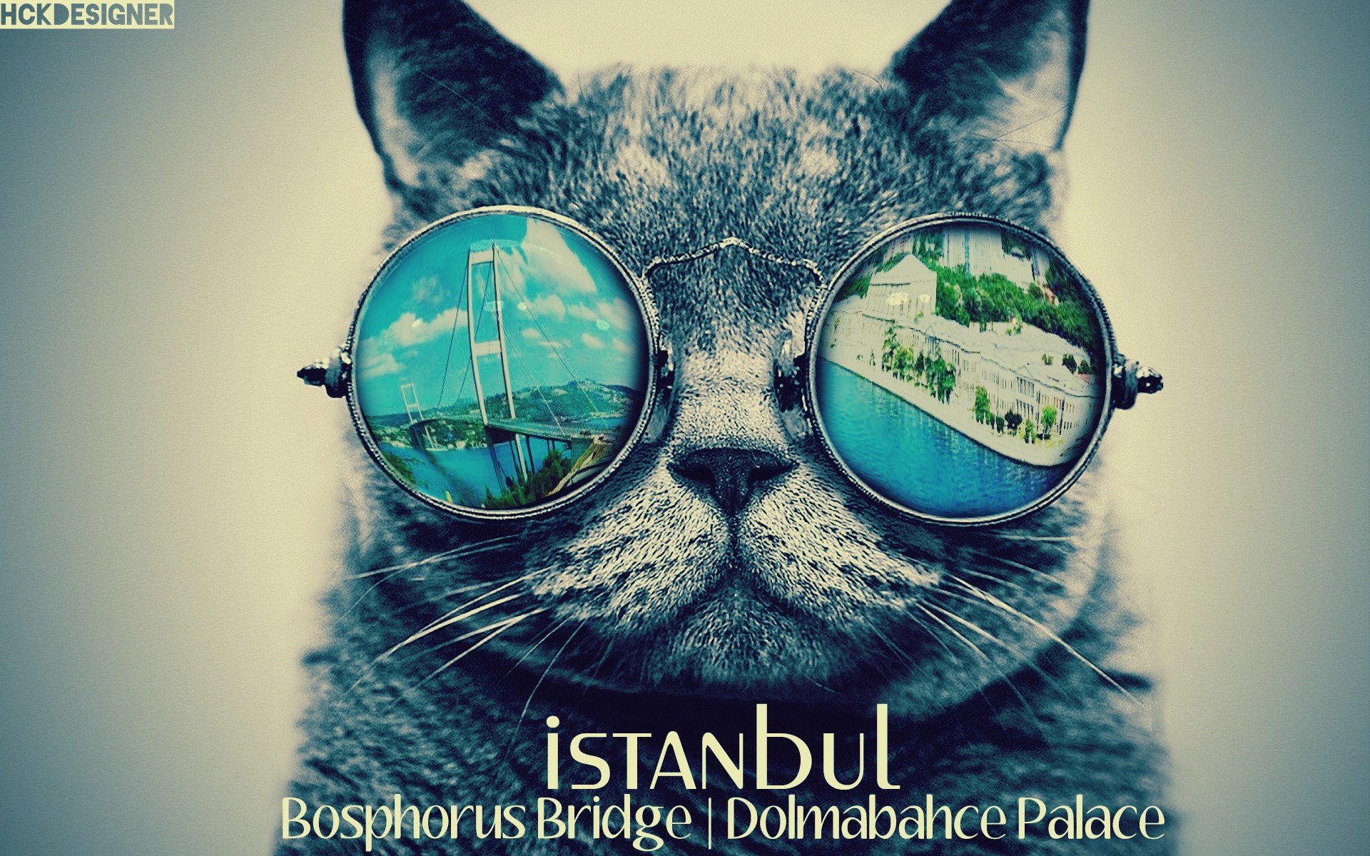 bosphorus konstantinopolis istanbul dolmabahce cat Wallpaper
