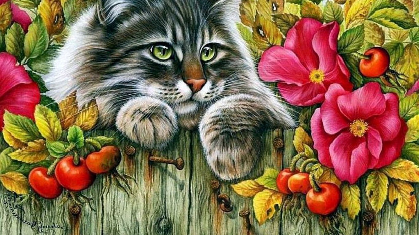 artwork cat Wallpaper