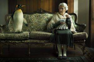penguins couch carpets sitting birds soup old people