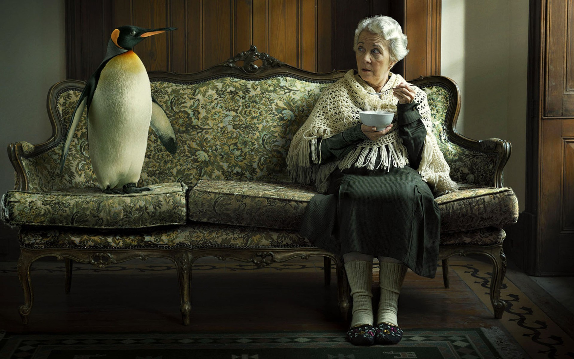 penguins couch carpets sitting birds soup old people Wallpaper