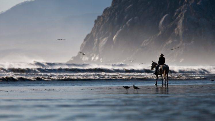 horse sea waves HD Wallpaper Desktop Background
