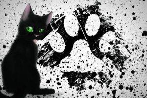 painting paws cat black cats kittens paint splatter