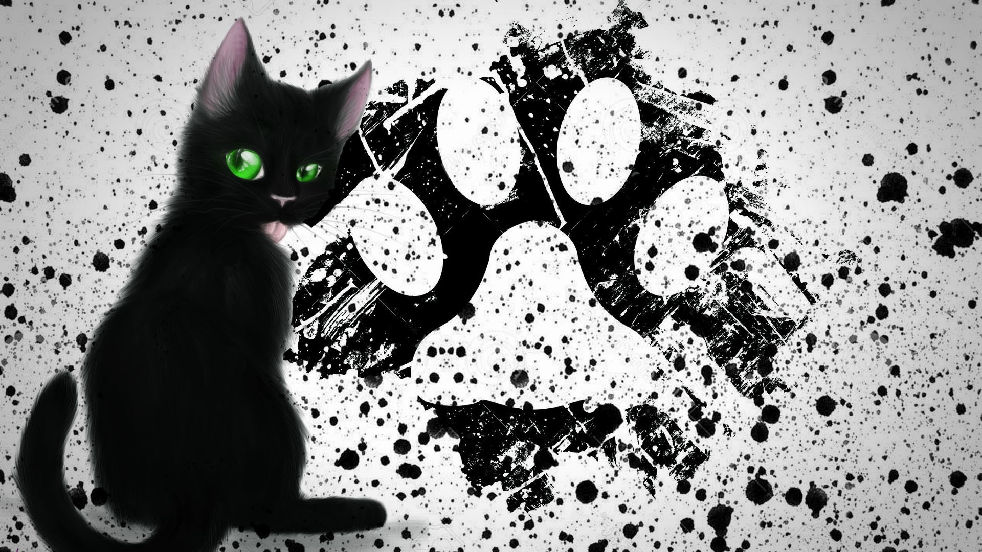 painting paws cat black cats kittens paint splatter Wallpaper