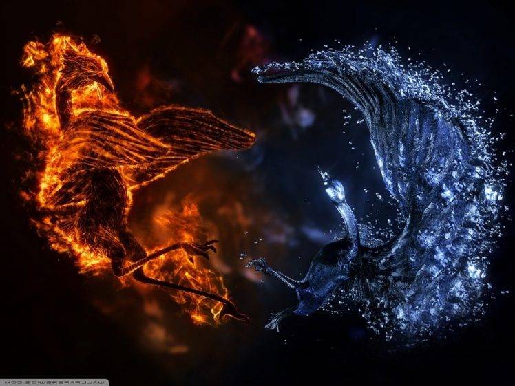 water fire birds Wallpapers HD / Desktop and Mobile Backgrounds