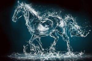 horse water artwork liquid