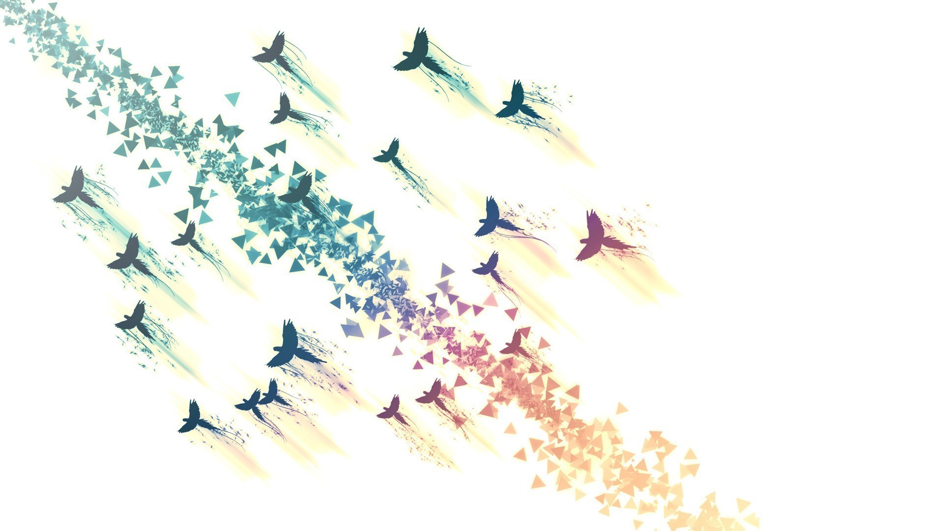 white background triangle birds Wallpaper
