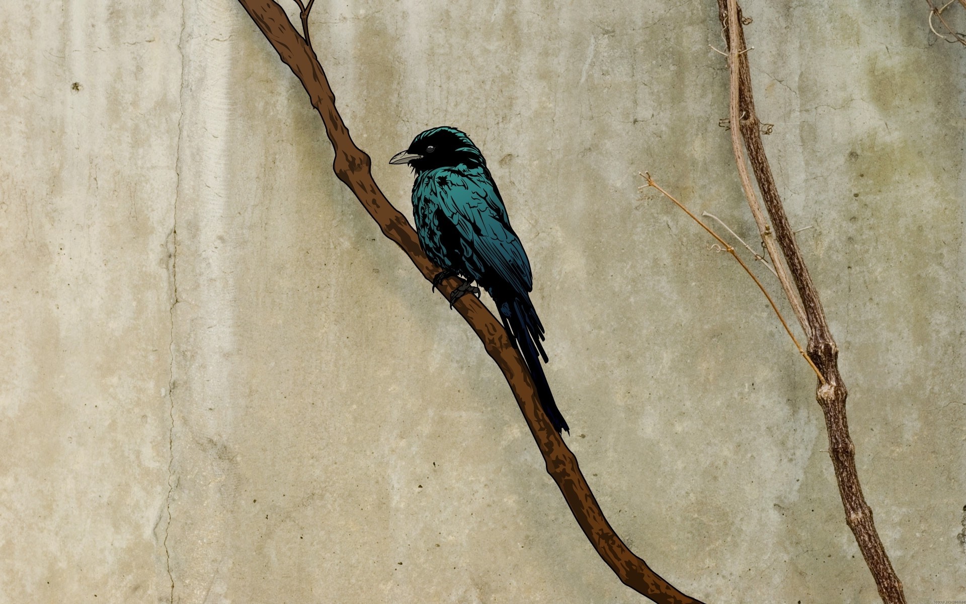 artwork birds branch grunge simple background jared nickerson Wallpaper