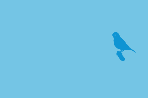 minimalism birds blue background