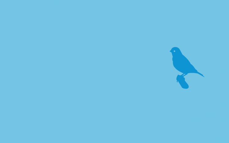 minimalism birds blue background HD Wallpaper Desktop Background