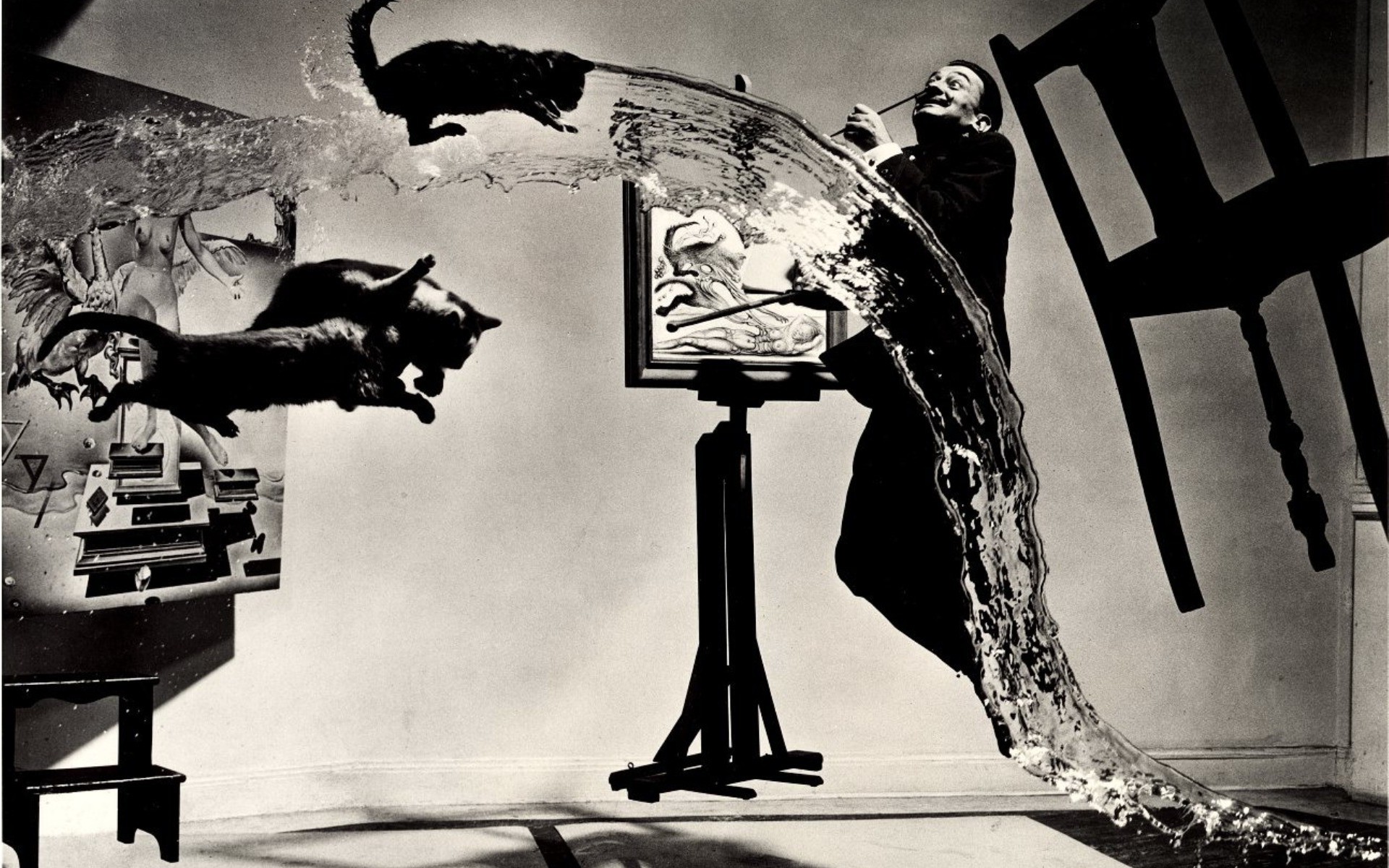 salvador dali painters water cat floating chair Wallpaper