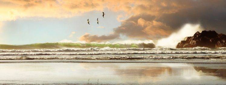 beach waves birds sea rock HD Wallpaper Desktop Background