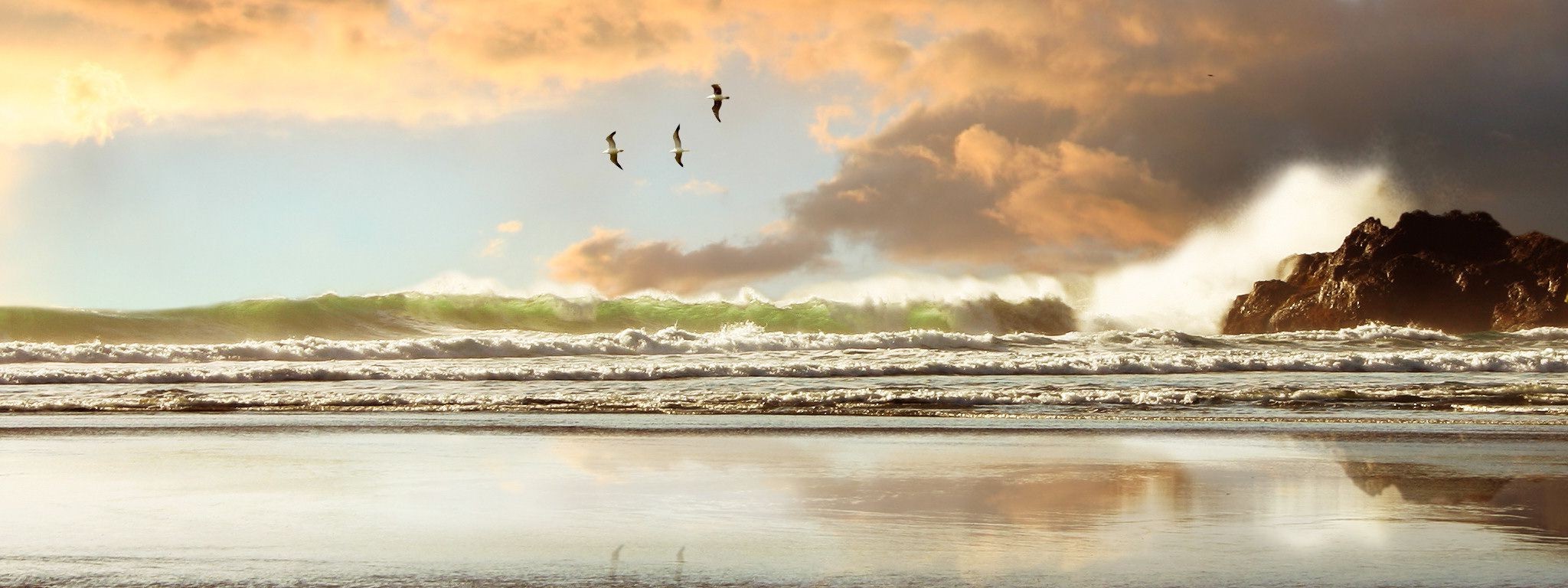 beach waves birds sea rock Wallpaper