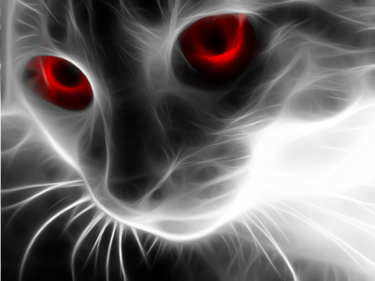 cat fractalius HD Wallpaper Desktop Background