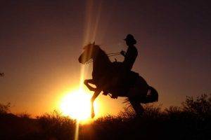 sunset cowboys horse silhouette sun rays