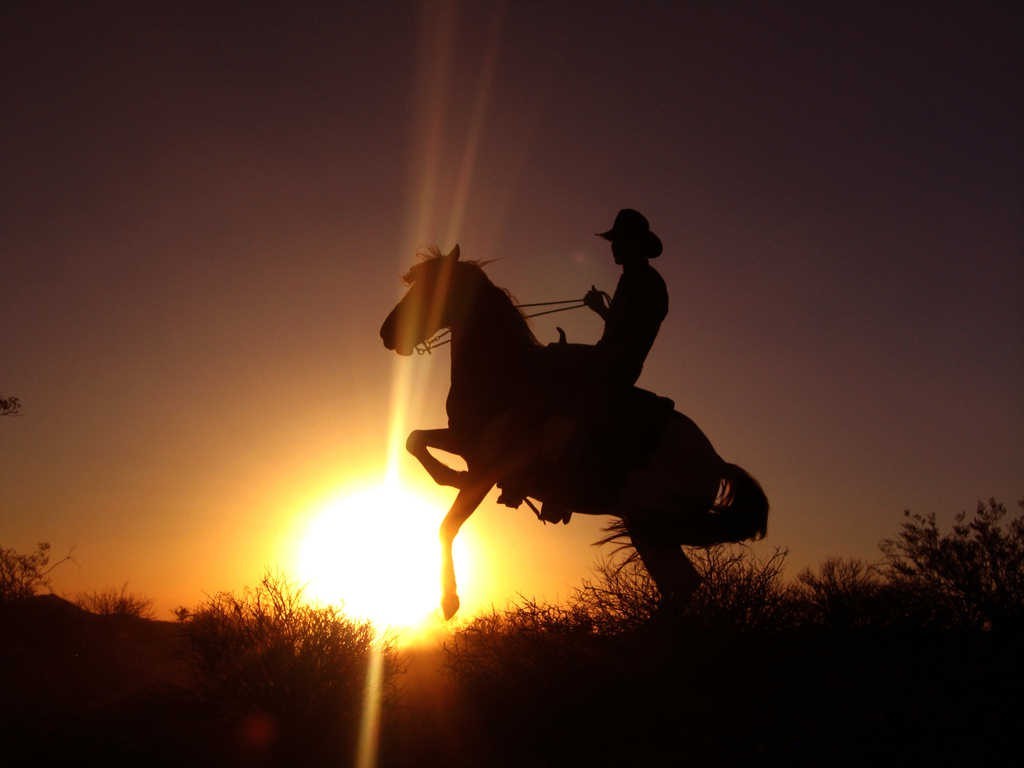 sunset cowboys horse silhouette sun rays Wallpaper