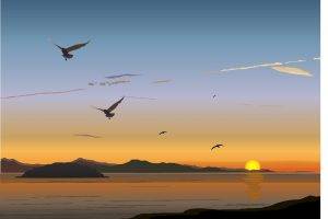 vector art birds sunset