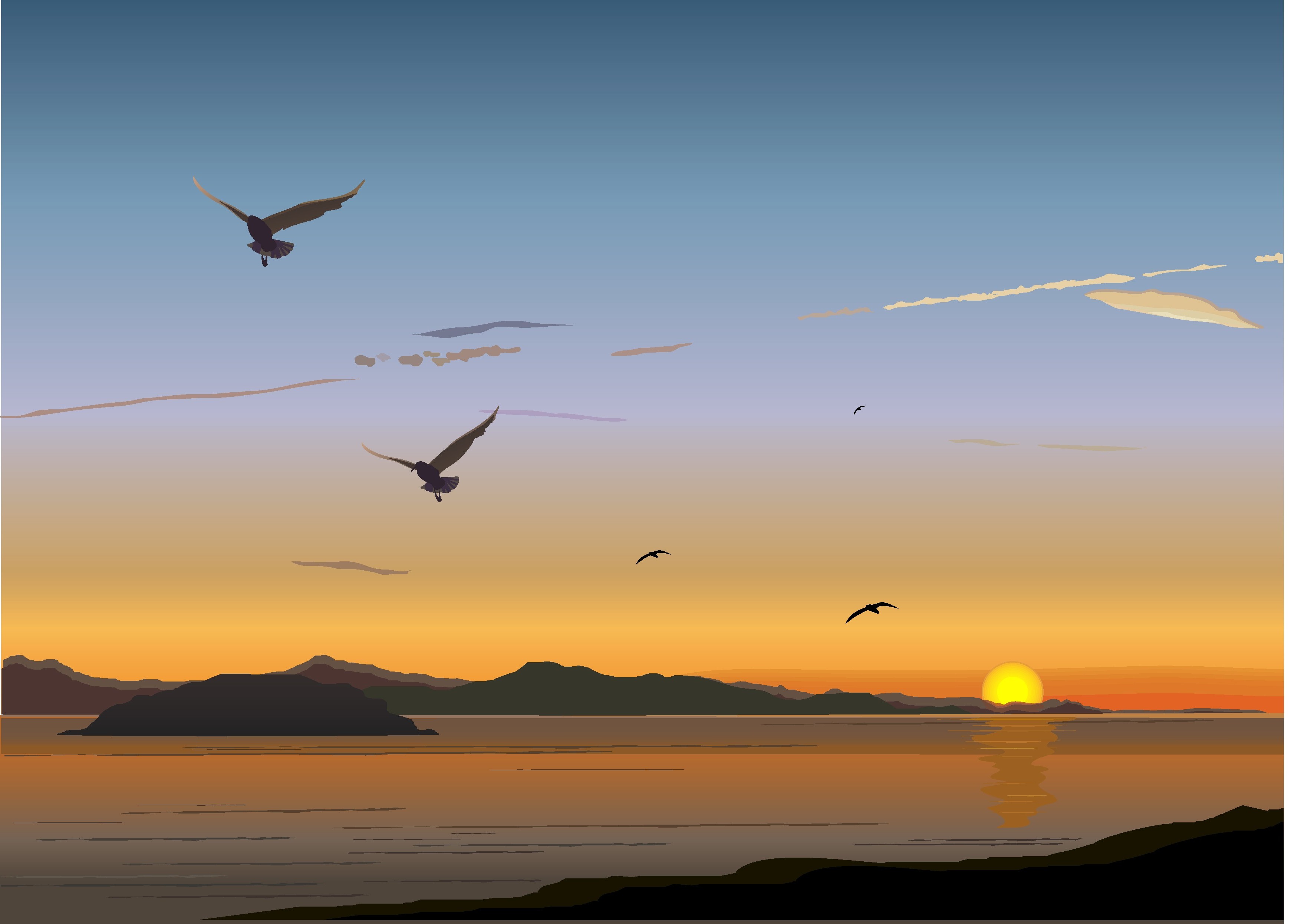 vector art birds sunset Wallpaper