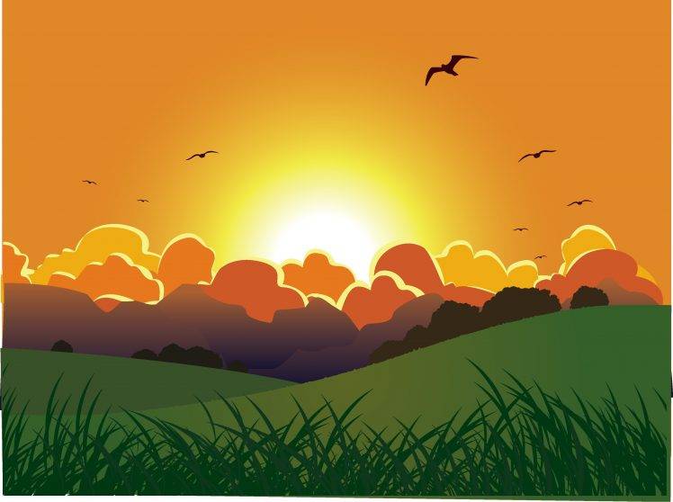 clouds birds sunset vector art grass HD Wallpaper Desktop Background