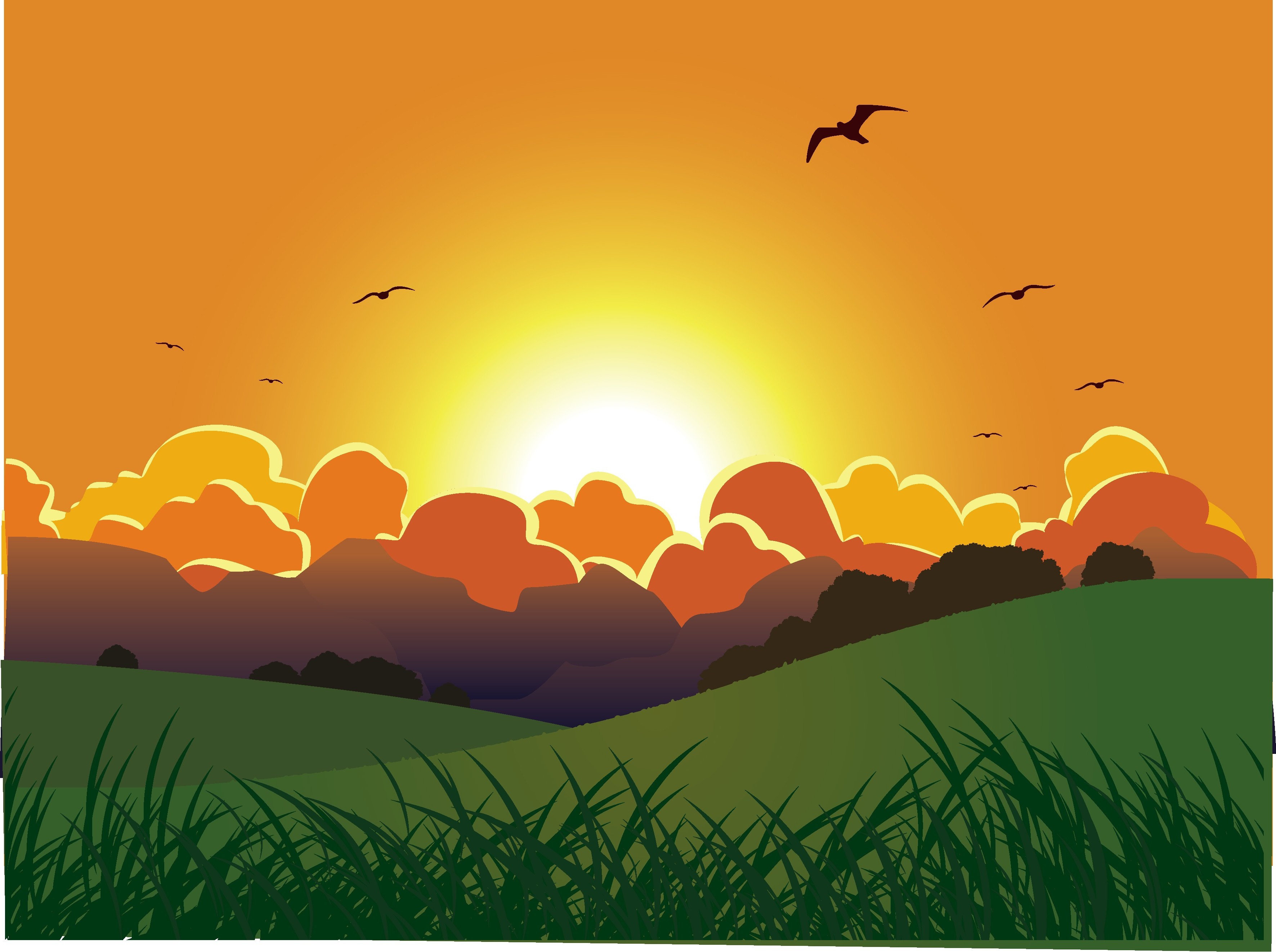 Download clouds birds sunset vector art grass Wallpapers HD ...