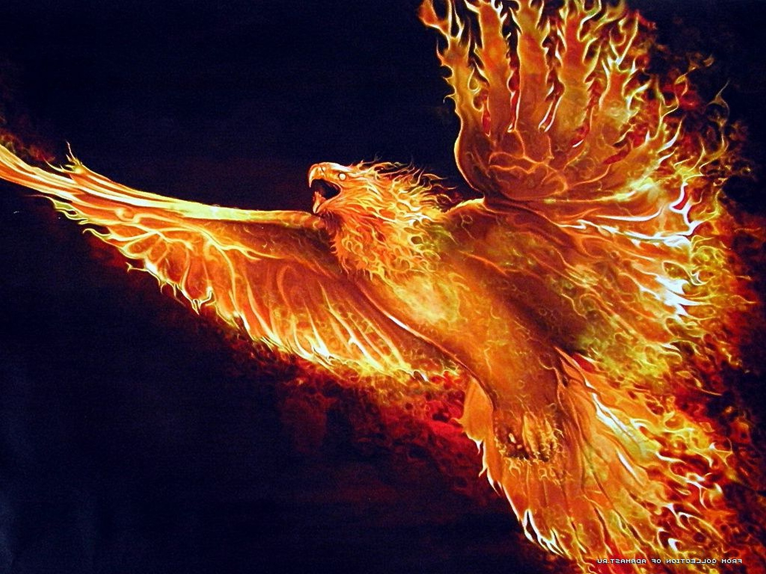 fire birds Wallpaper