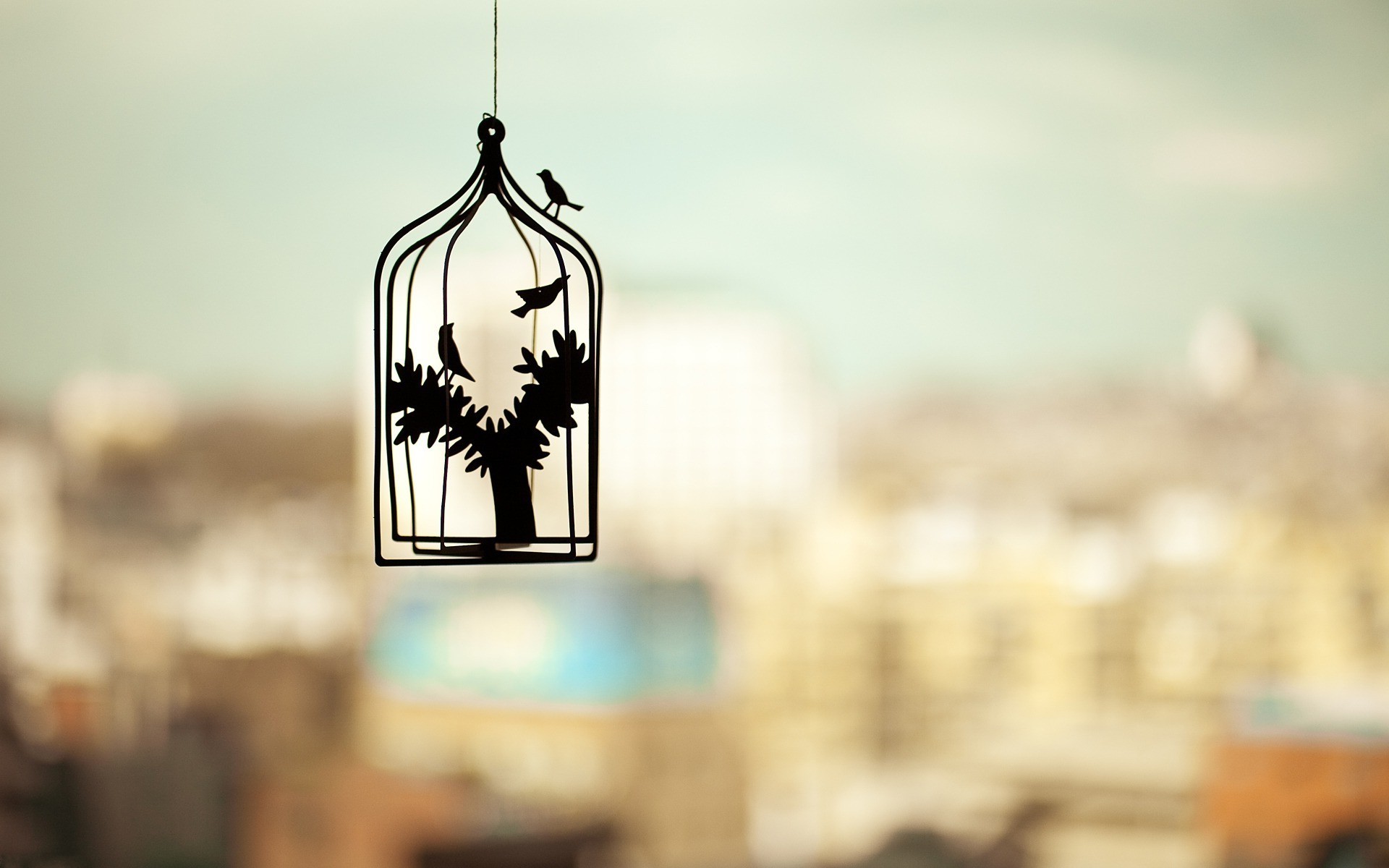 photography silhouette cages birds trees depth of field cityscape Wallpaper