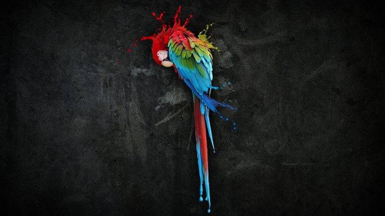 birds colorful parrot HD Wallpaper Desktop Background