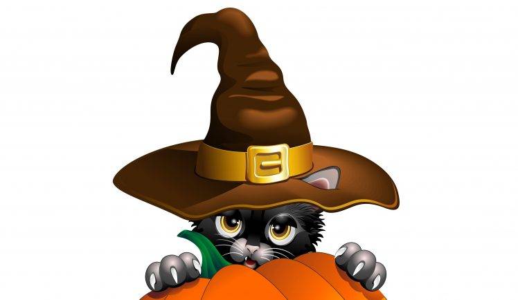 cat pumpkin HD Wallpaper Desktop Background