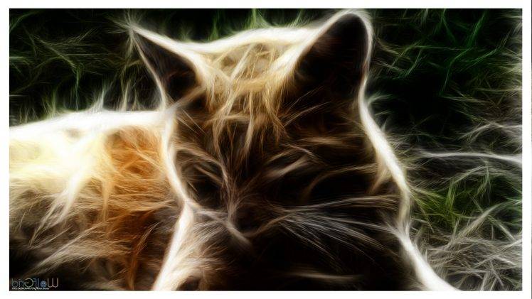 cat fractalius HD Wallpaper Desktop Background