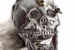 artwork bones skull insect painting