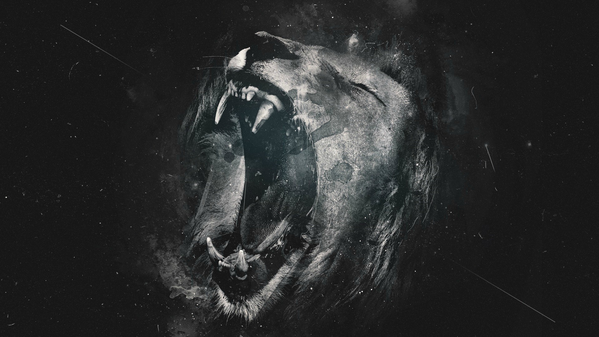 lion Wallpaper