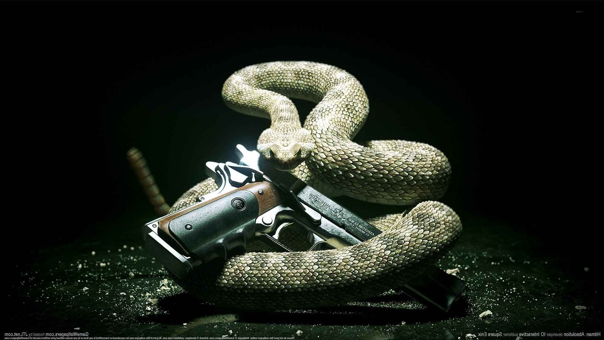 hitman absolution snake pc gaming gun Wallpaper