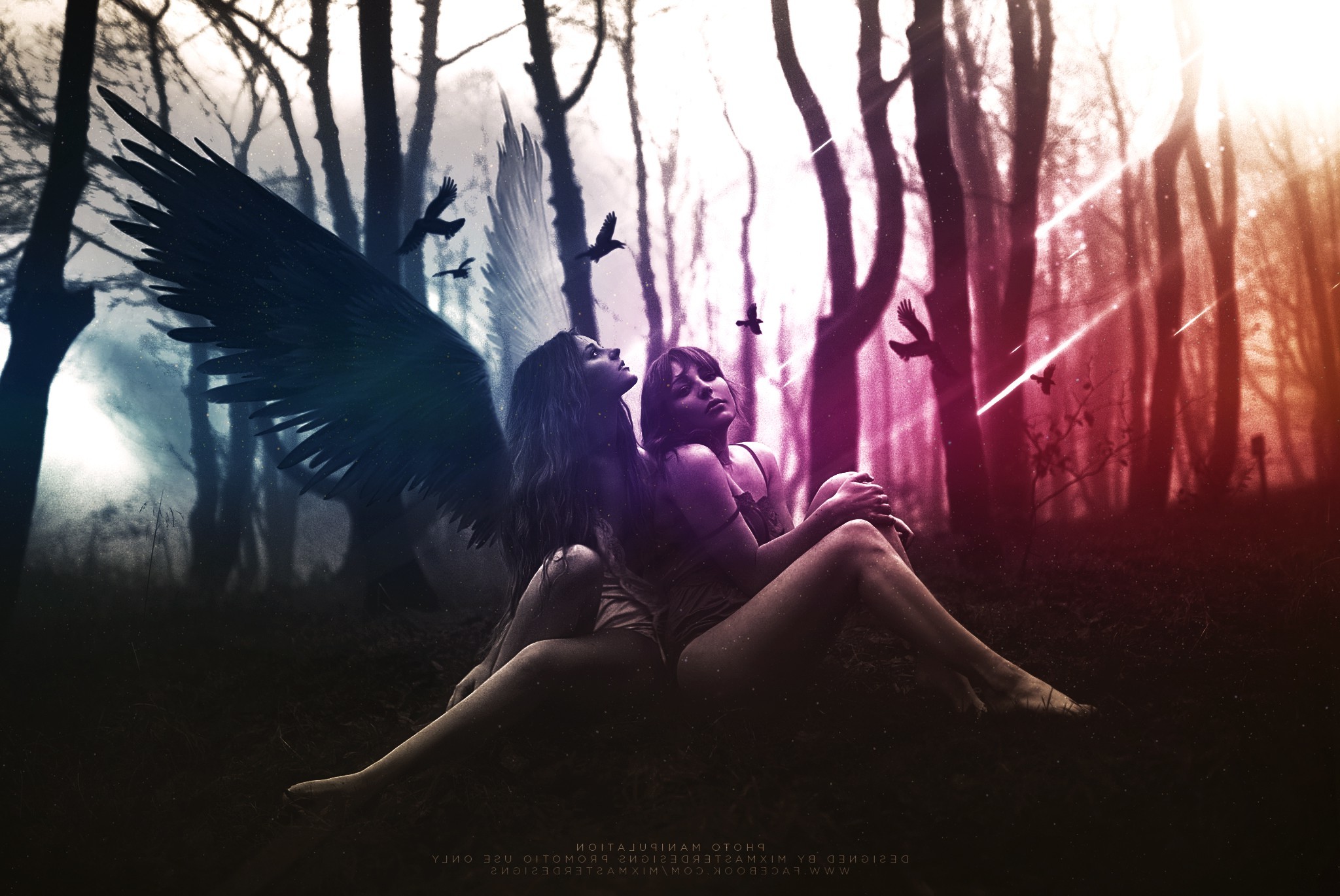 angel photo manipulation graphic design wings birds Wallpaper