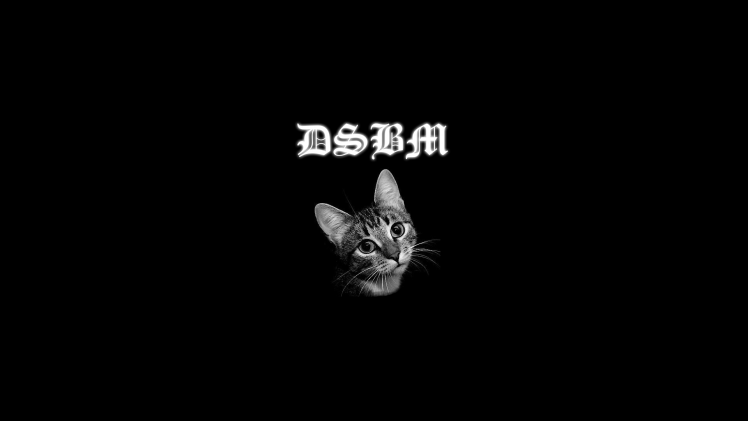 cat black metal music dsbm HD Wallpaper Desktop Background