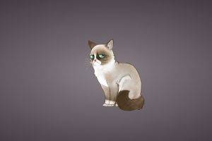 cat grumpy cat minimalism