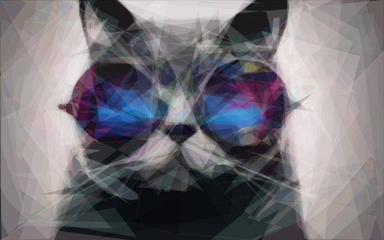 cat sunglasses HD Wallpaper Desktop Background