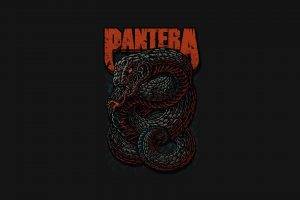 pantera music heavy metal thrash metal snake