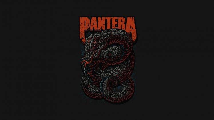 pantera music heavy metal thrash metal snake HD Wallpaper Desktop Background
