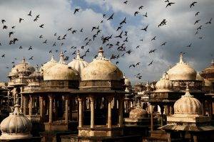 city architecture birds dome india