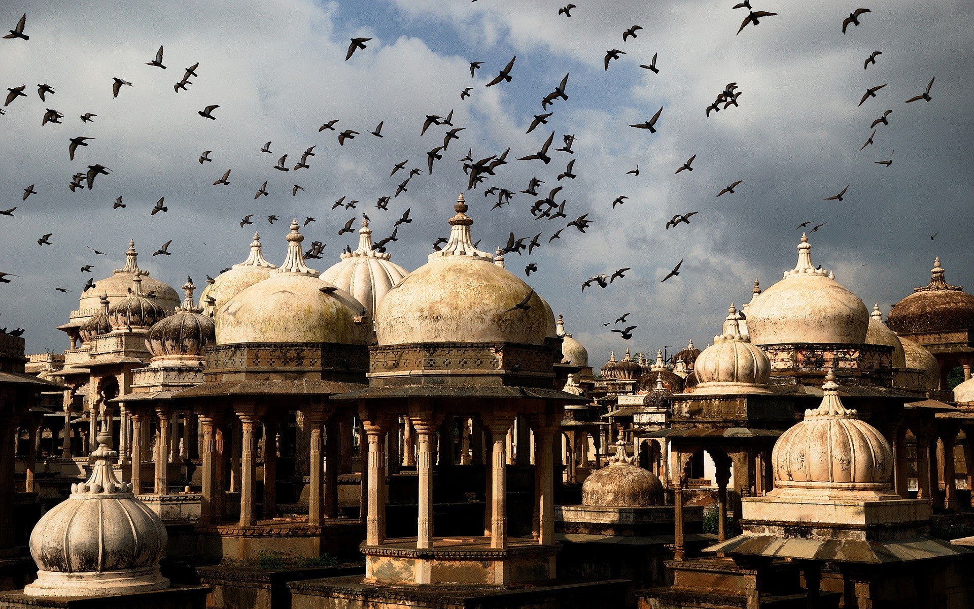 city architecture birds dome india Wallpaper