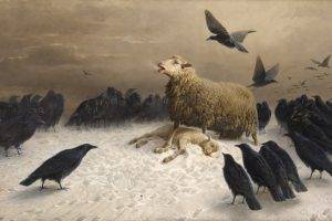 albrecht schenck painting sheep birds classic art crow