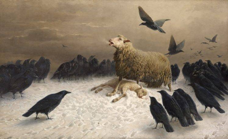 albrecht schenck painting sheep birds classic art crow HD Wallpaper Desktop Background