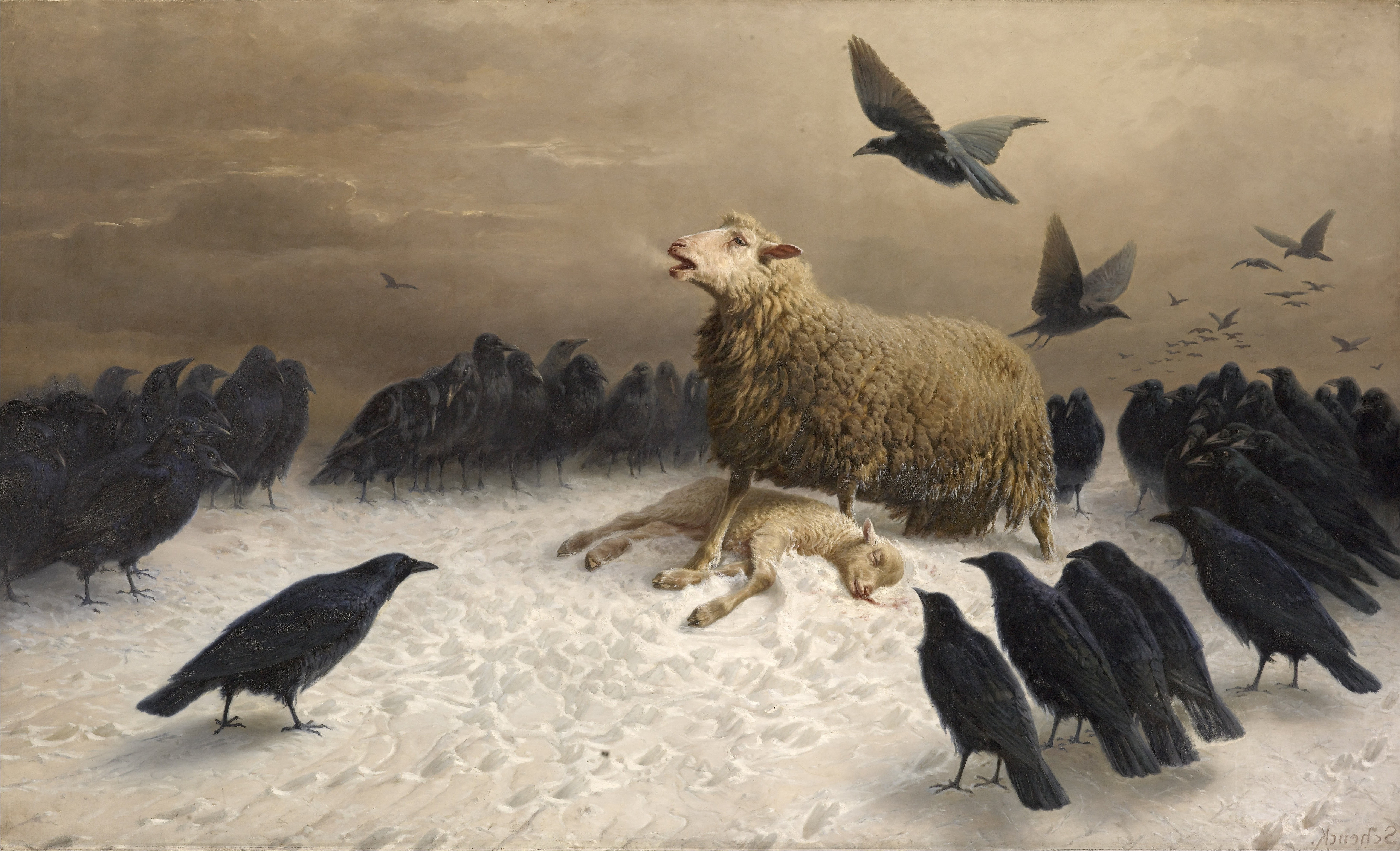 albrecht schenck painting sheep birds classic art crow Wallpapers HD