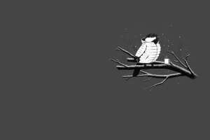 minimalism gray birds cold branch